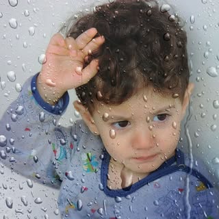 ایزوگام سعید علایی