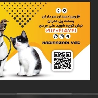 پت شاپ انلاین افرا ( قزوین)