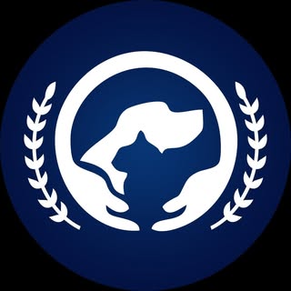 پت شاپ کیپو | Kipo Petshop