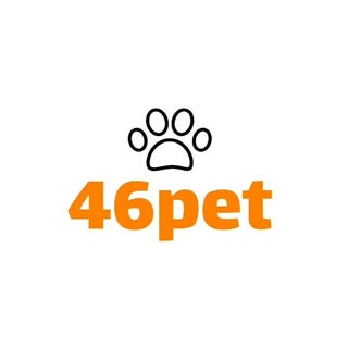 پت شاپ | پت شاپ رشت