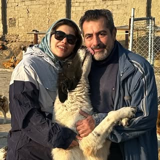 پناهگاه حیوانات سِیوداگ