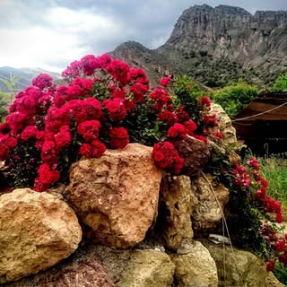 رستوران سنتی فانوس خرم آباد