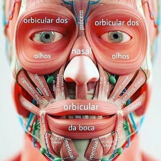 کلینیک فیزیوتراپی راحیل