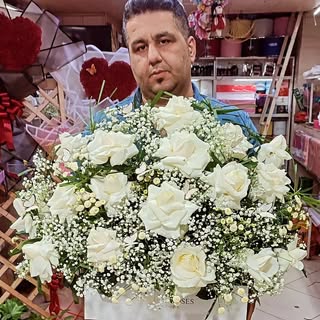 رز نقره ای