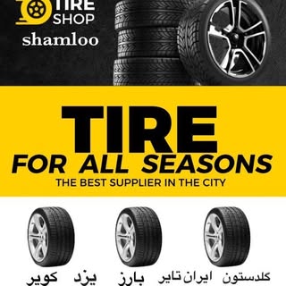 دکتر رینگ و لاستیک شاملو