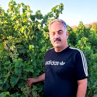 لاستیک و باطری حاجیانی | بوشهر