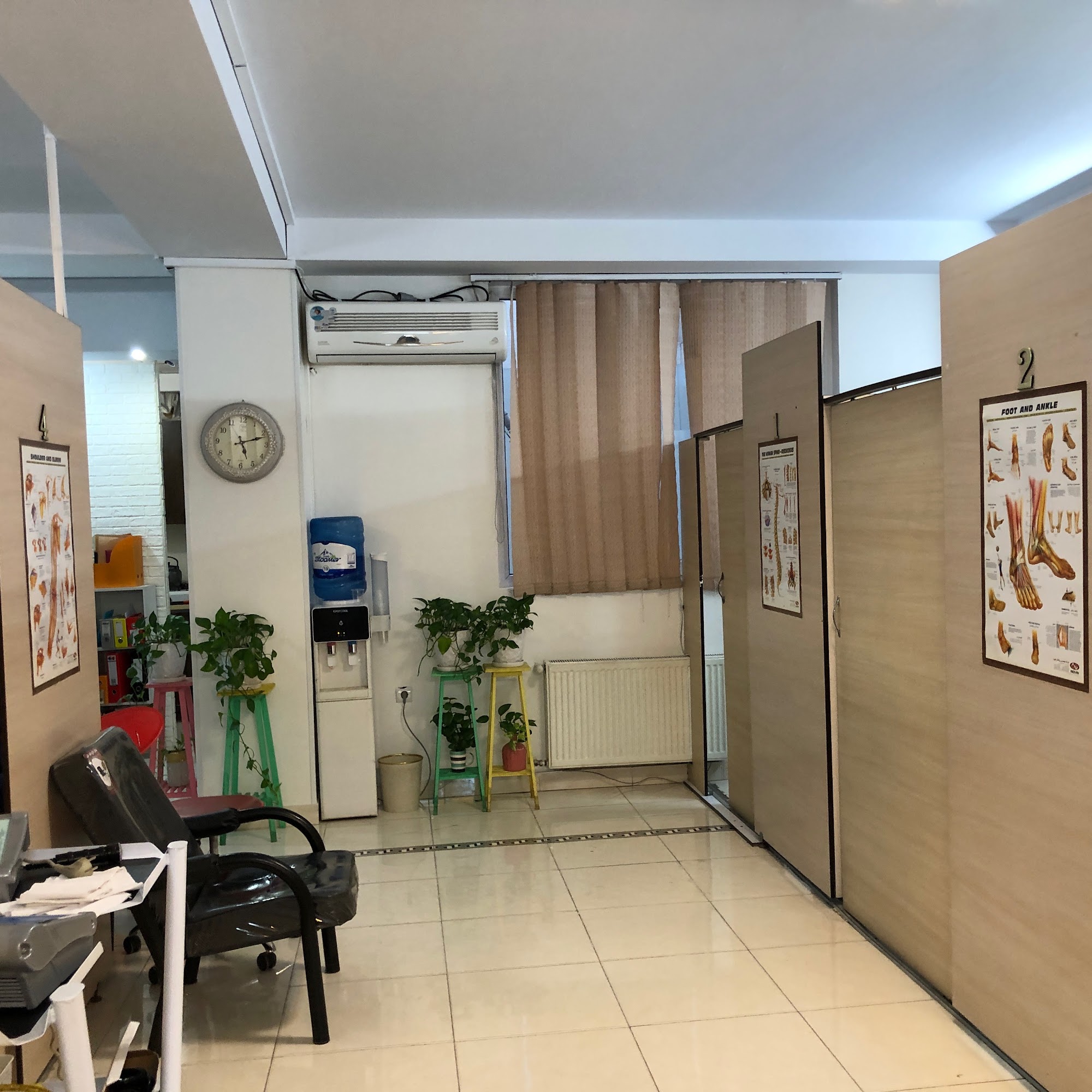 فیزیوتراپی رویش