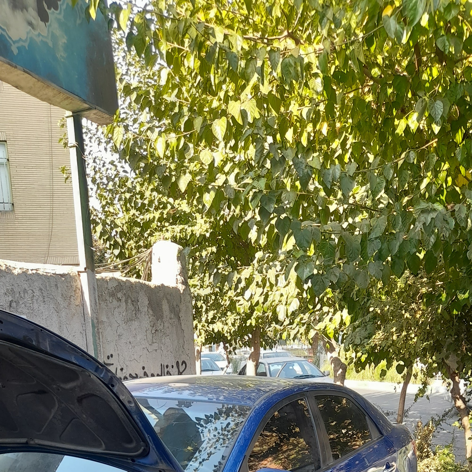 چک ایسیو (تعمیرگاه کامپیوتر خودرو) ریمپ خودرو