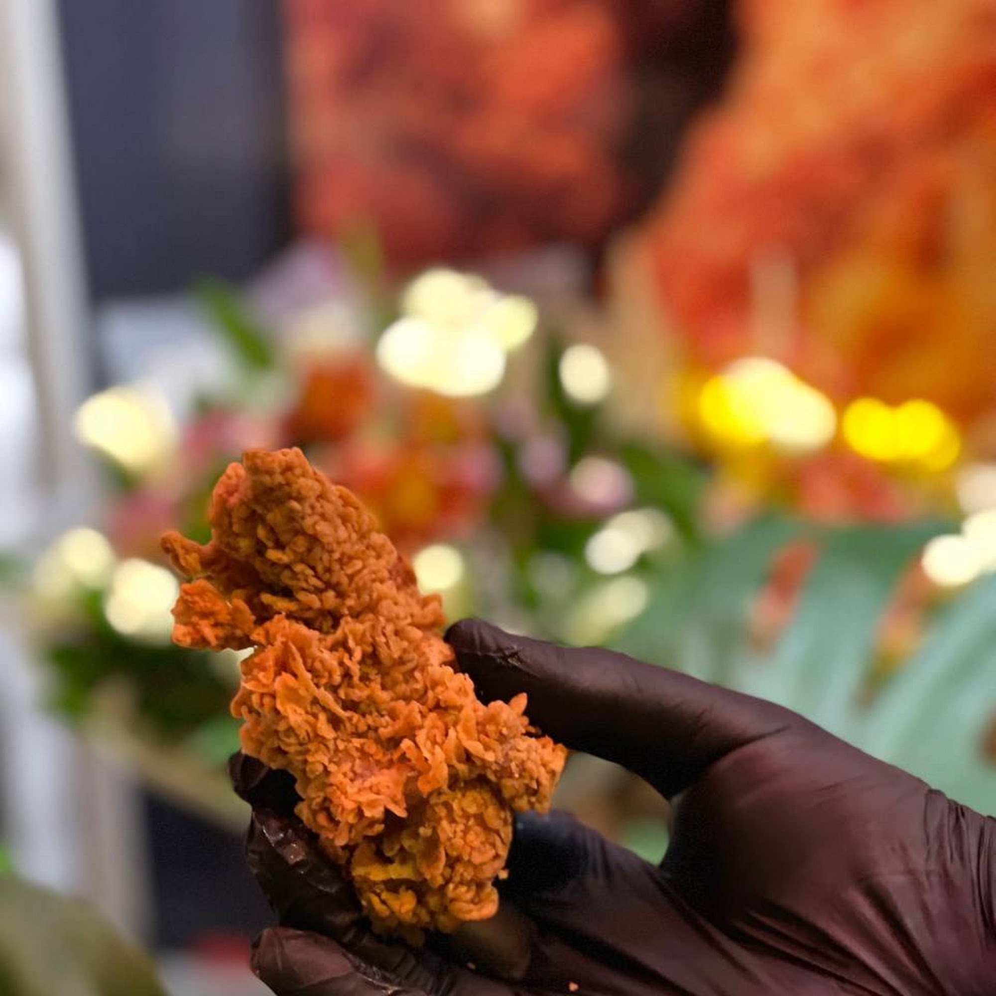 فست فود گرگان سوخاری(GFC)-سوخاری کیلویی