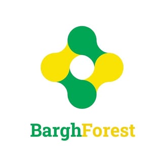barghforest?برق_فارست