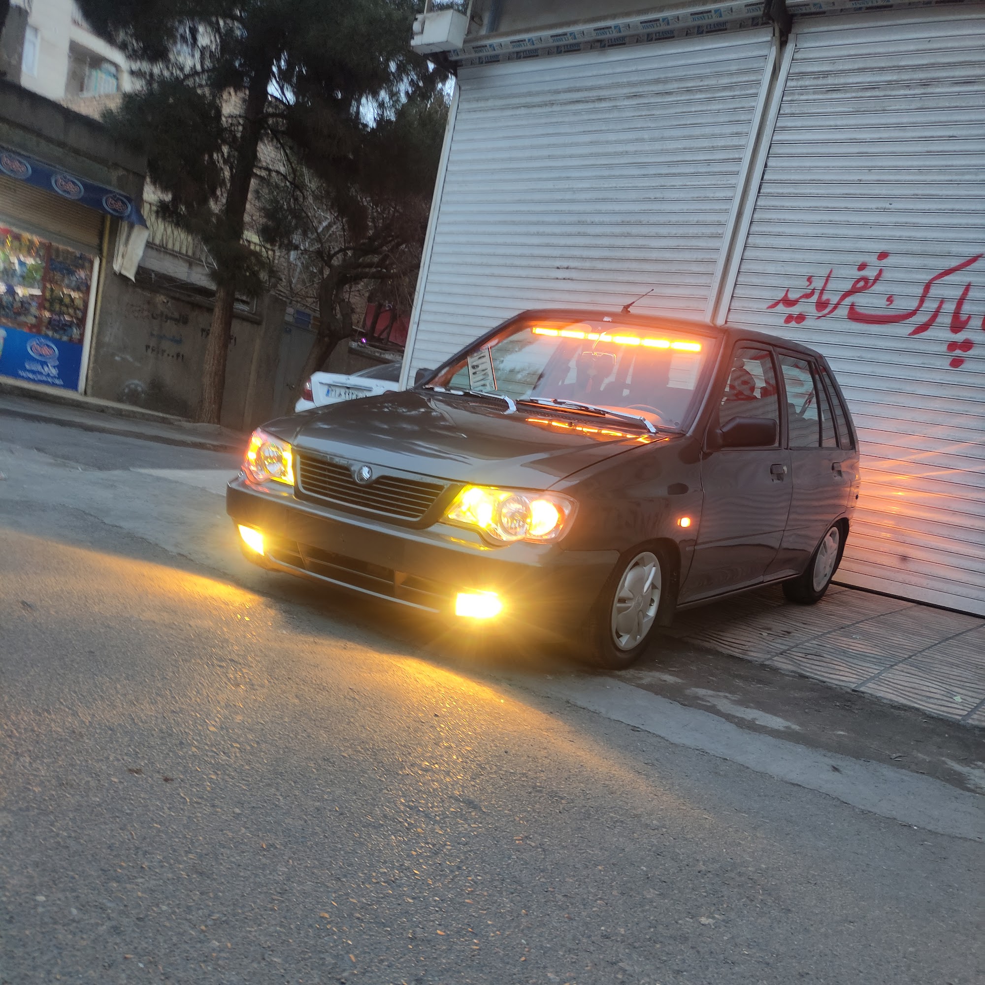 صافکاری شریفی
