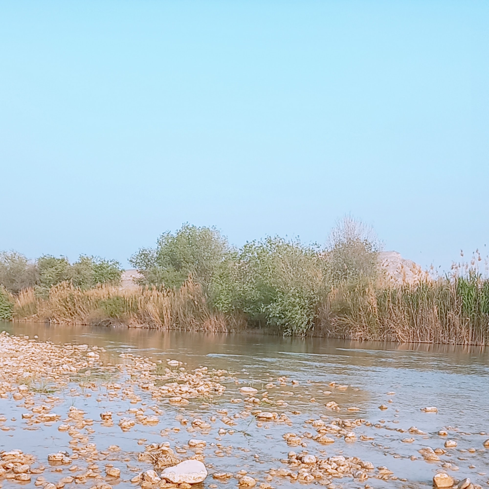 کلینیک زیبایی