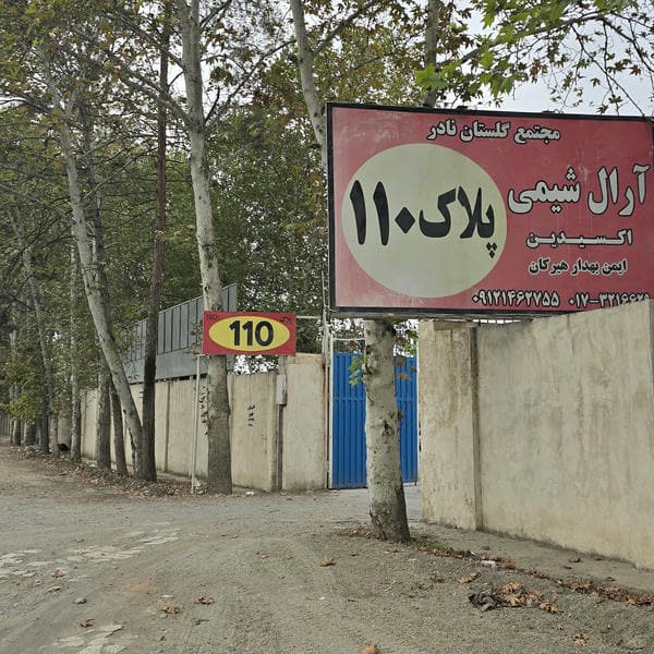 رویش الکتریک