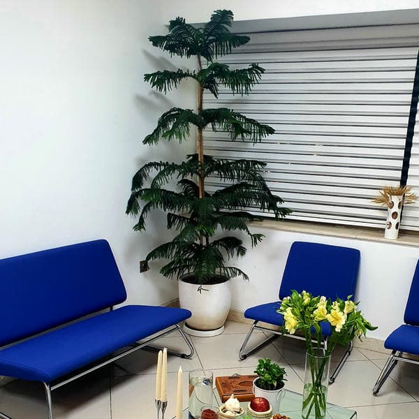 مرکز پوست، مو، زیبایی و لیزر ترنج