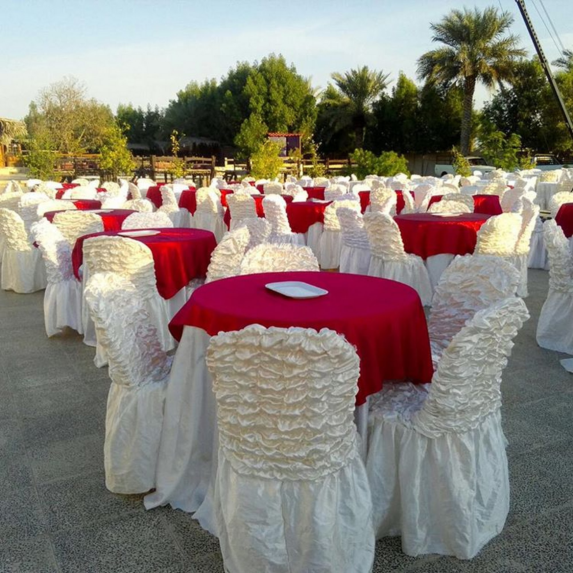 Party Equipment Rental Service