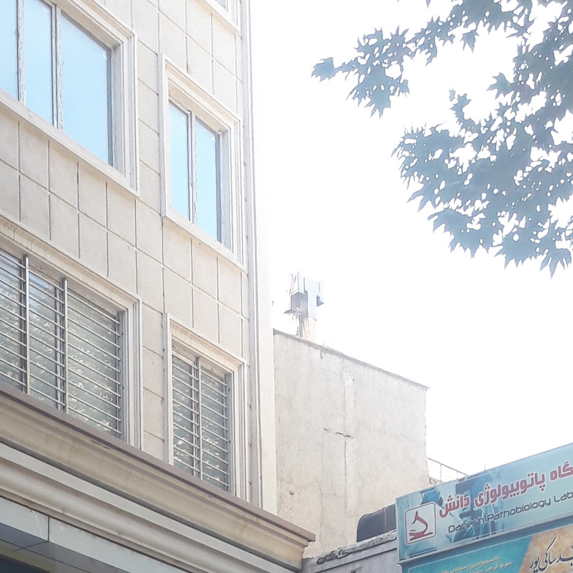 عینک تیام