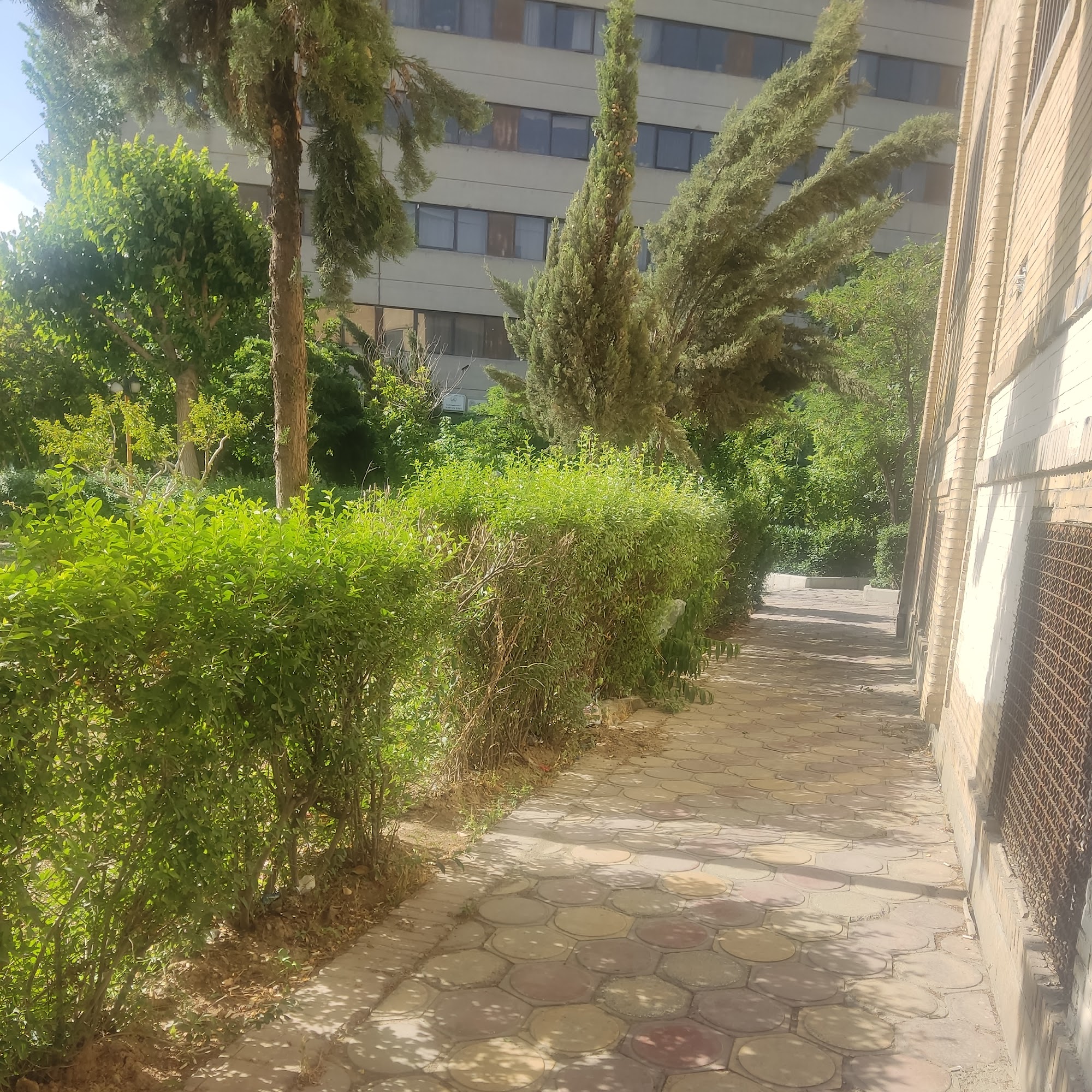مطب دکتر خسروی