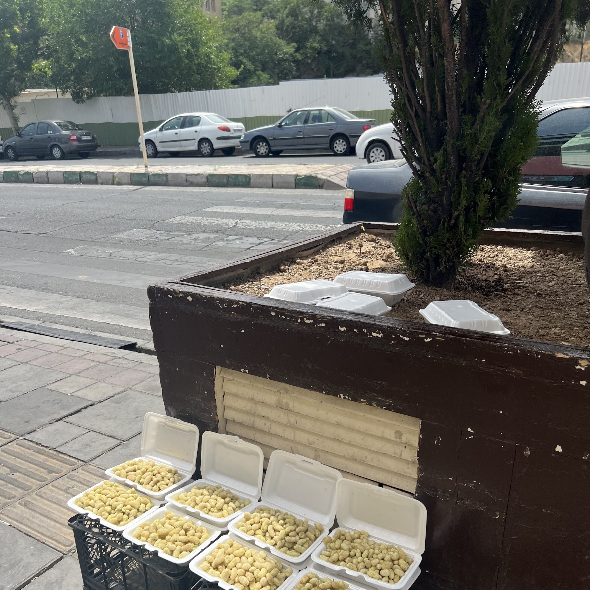 صافکاری نقاشی توحید