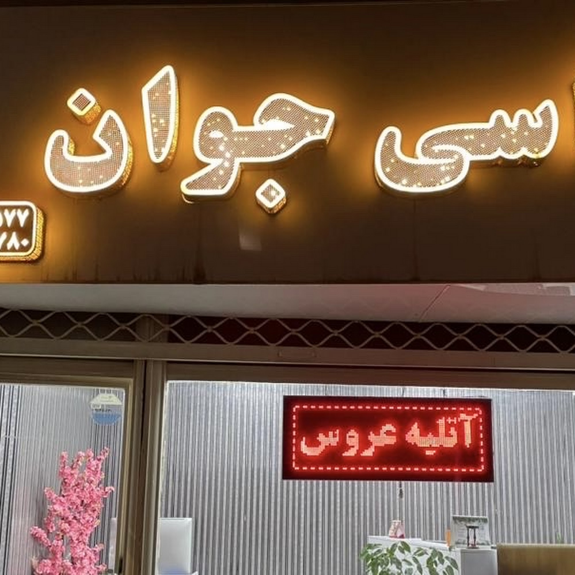 عکاسی جوان