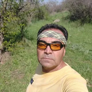 محمود پارسا