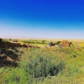 ?روستای مهماندوست سفلی?