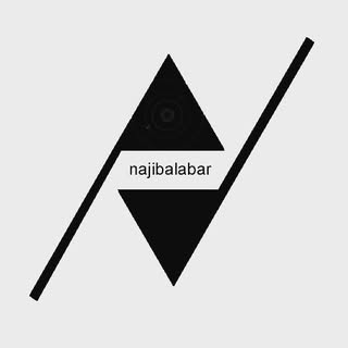 ناجی بالابر