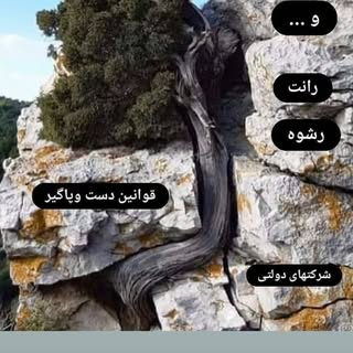 املاک ایرانیان