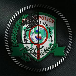 پلیس سایبری فتا