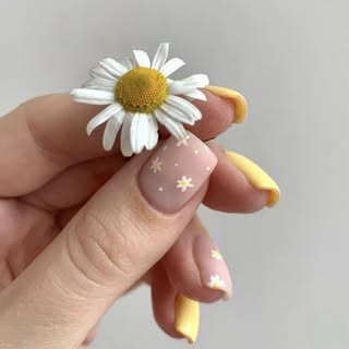 کاشت ناخن دریا nail.darya