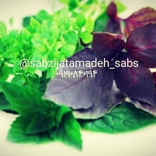 سابس