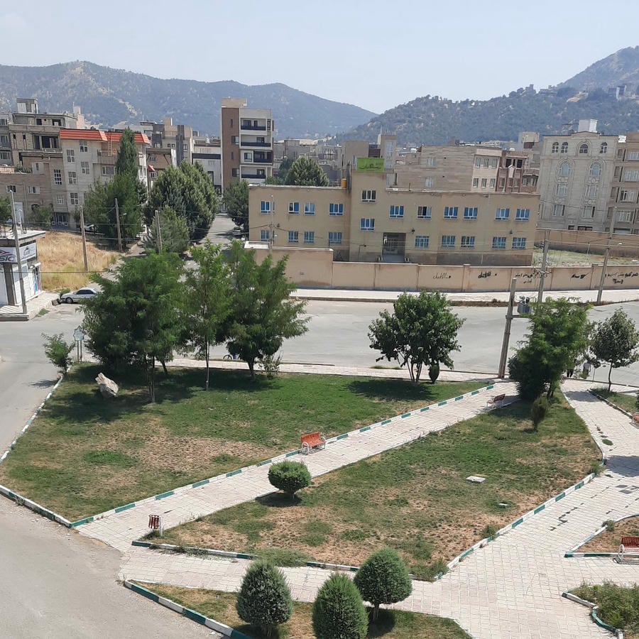 رامین ویسی