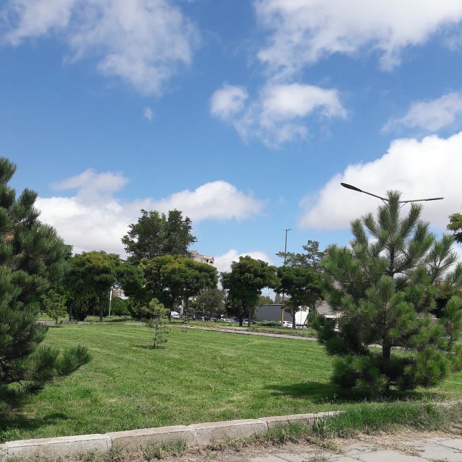 میدان کشاورز