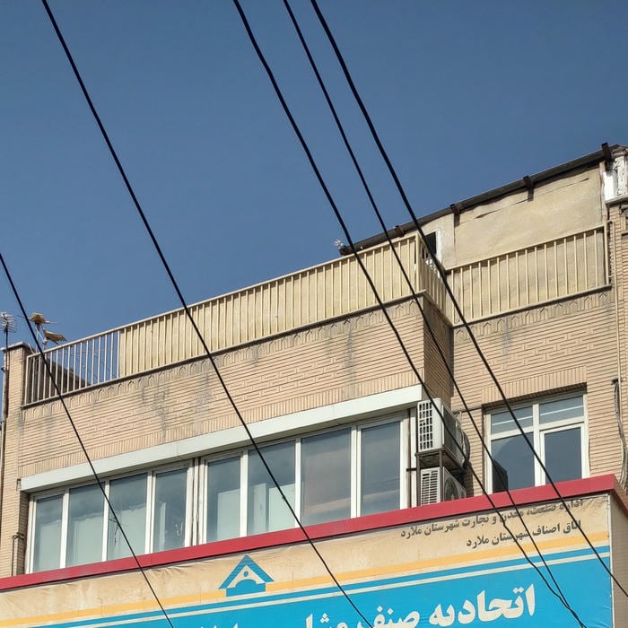 اتحادیه مشاورین املاک ملارد