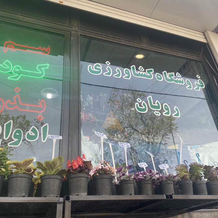 ماهدشت