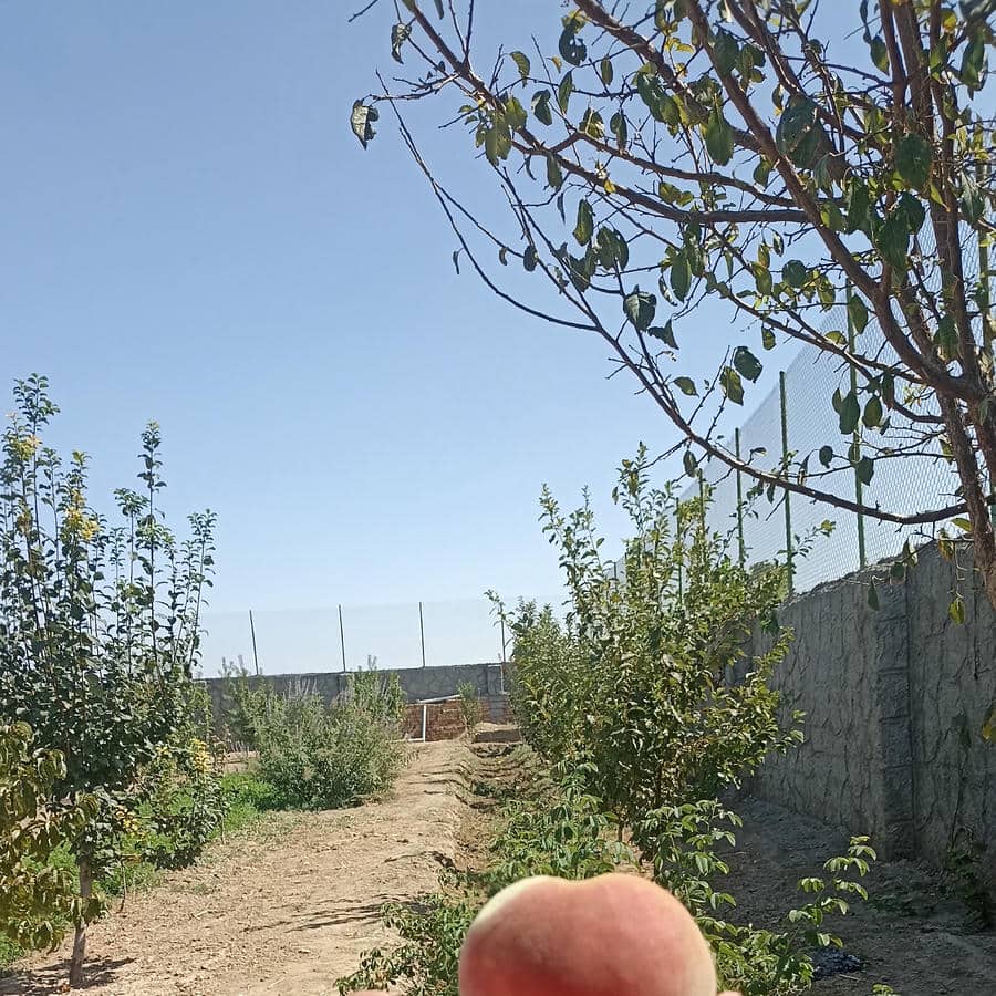 مشاور املاک جهان نو