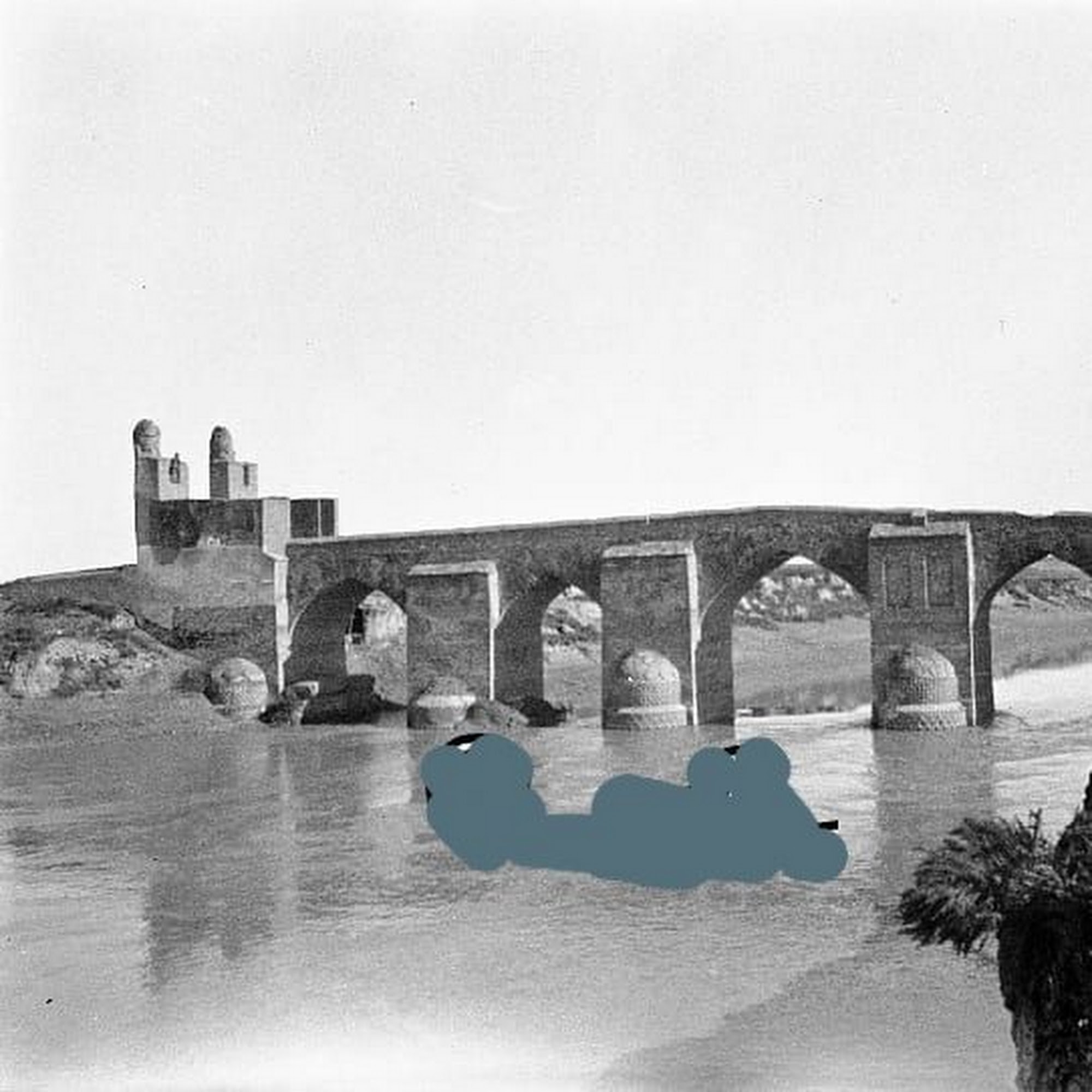 بنگاه معاملات ملکی تجاری صنعتی زراعی مسکونی علی