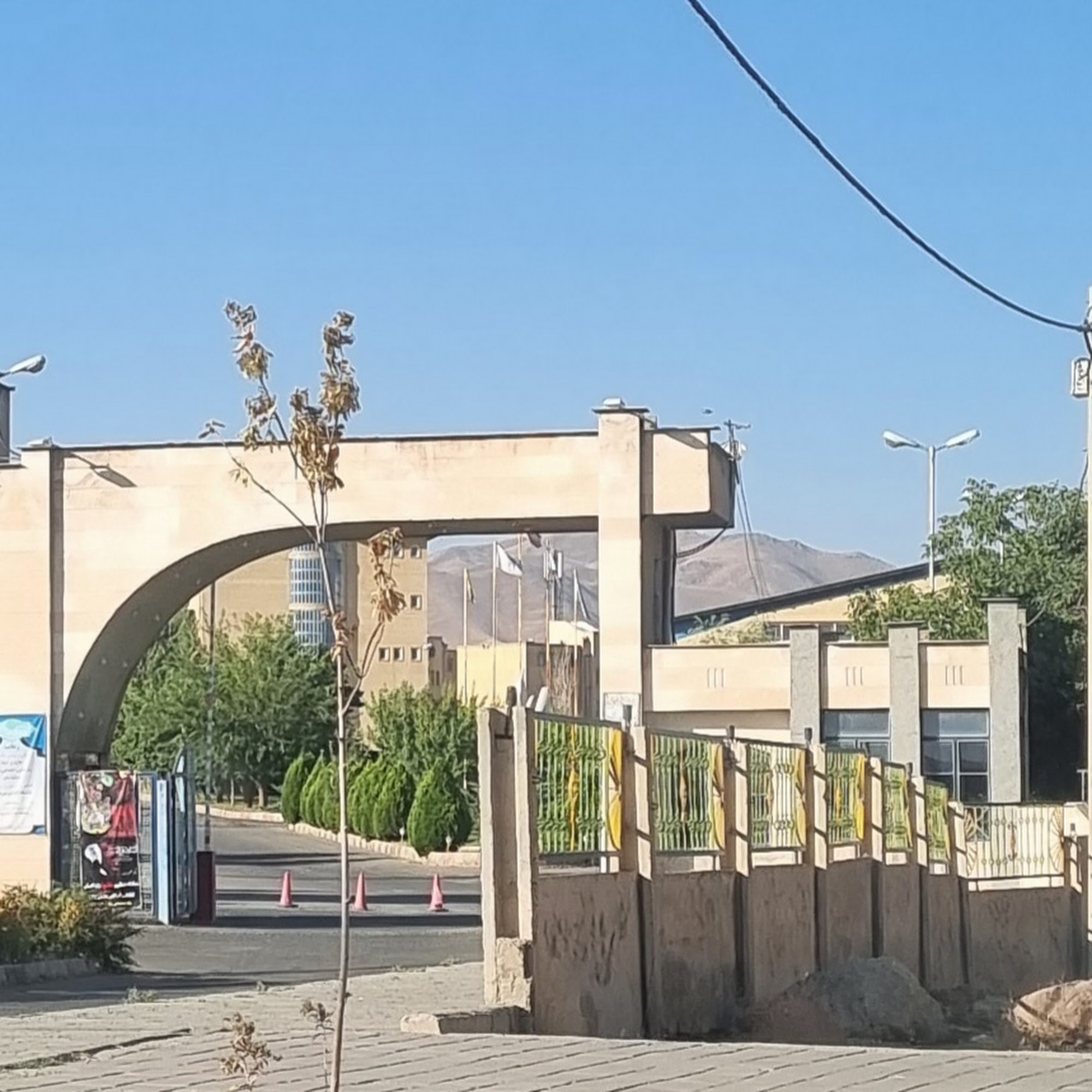 آموزشگاه زبان درخت سبز