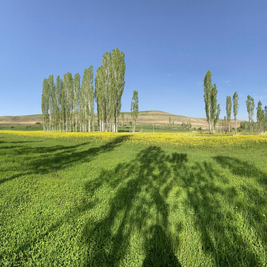 دیواندره