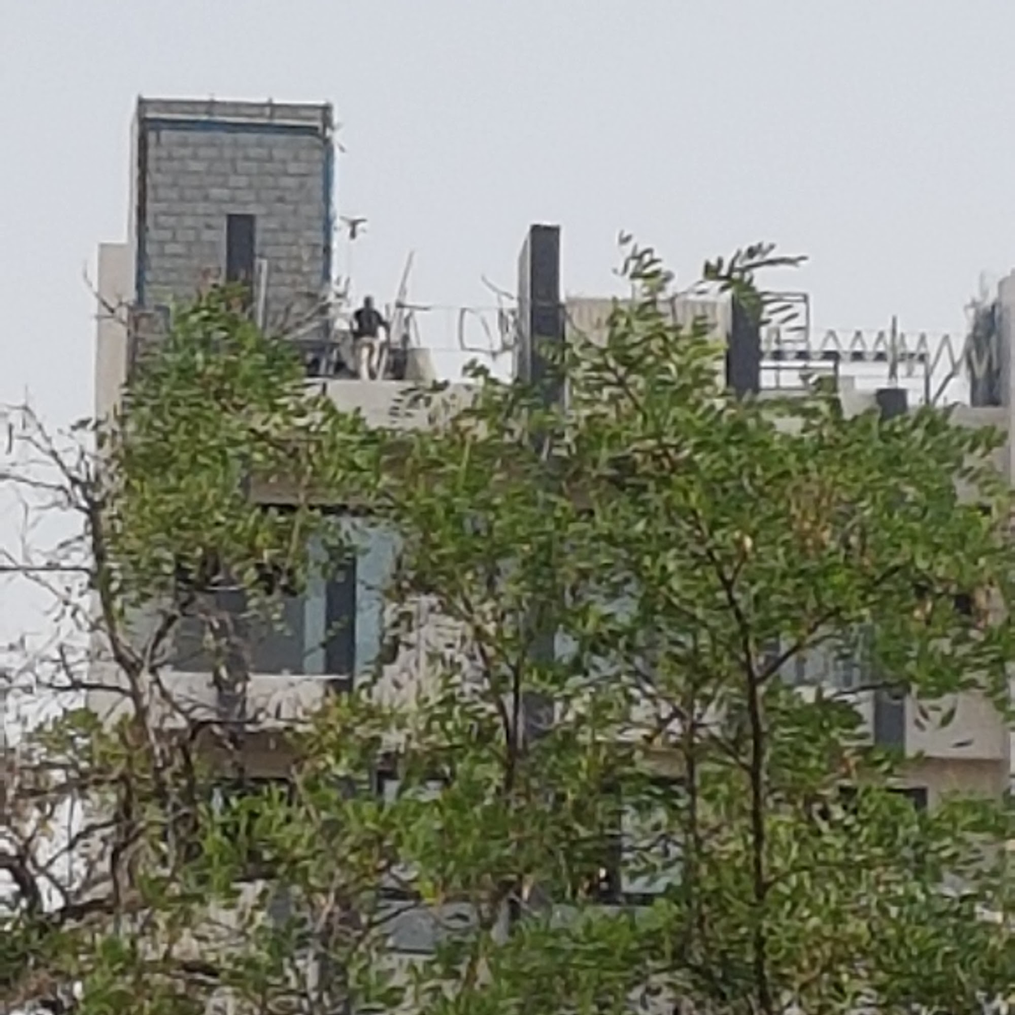 گروه لحظه