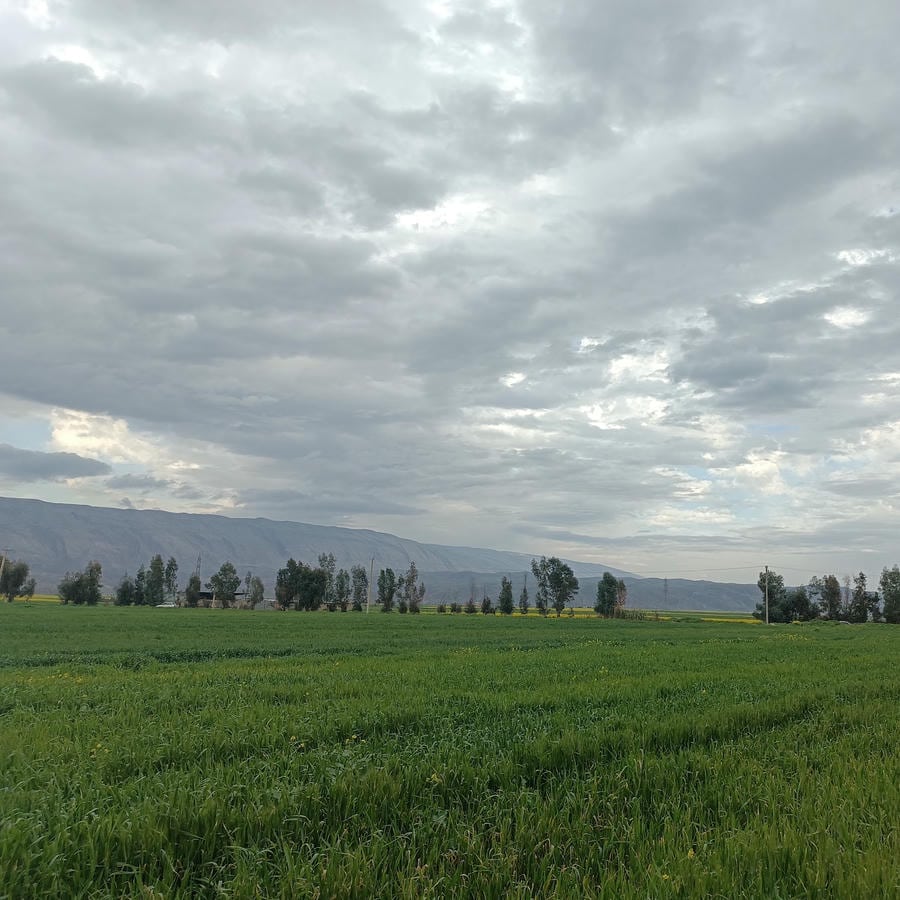 مجتمع آپارتمان های مسکن و شهرسازی(۹۹ساله)