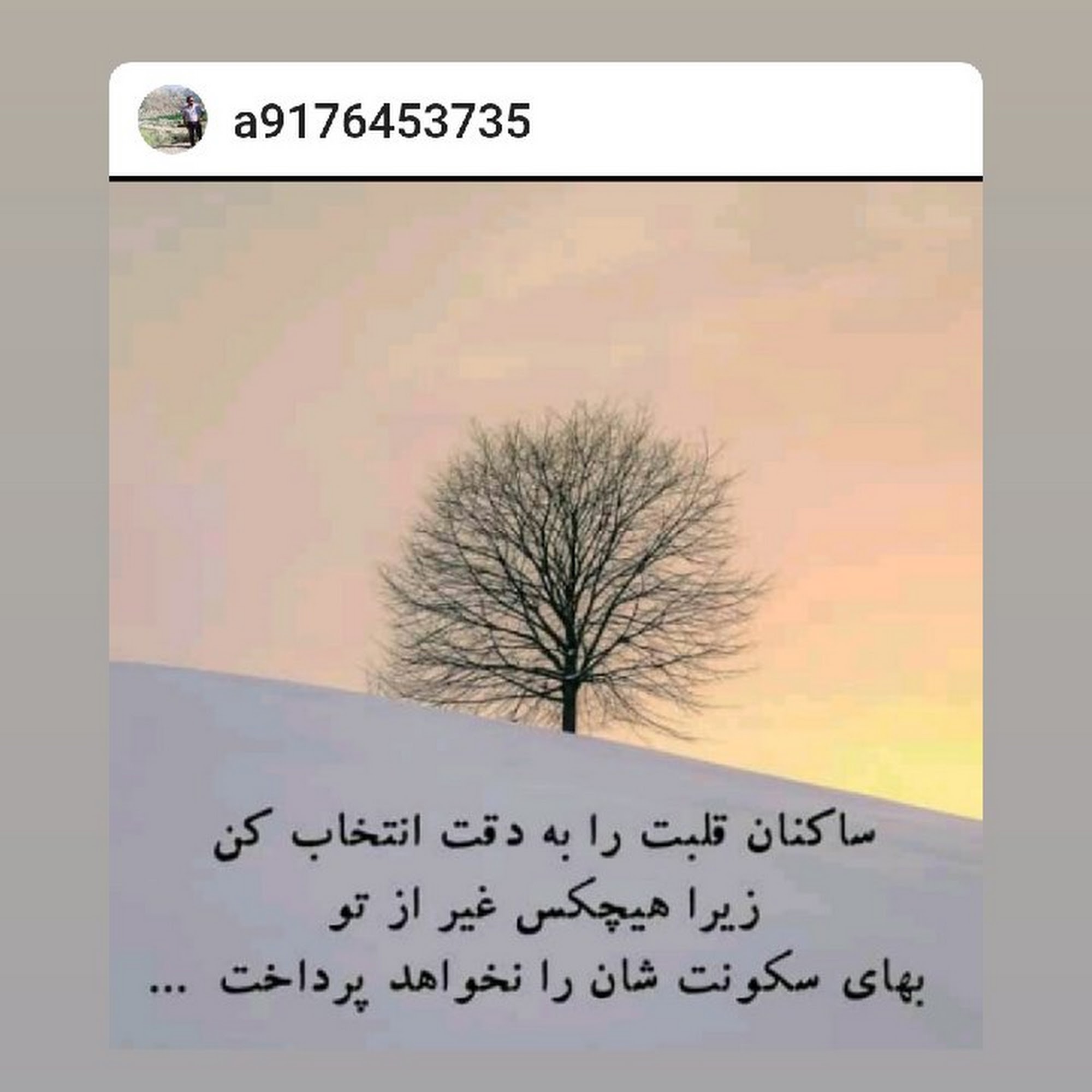 اسنان گلستان کلاله