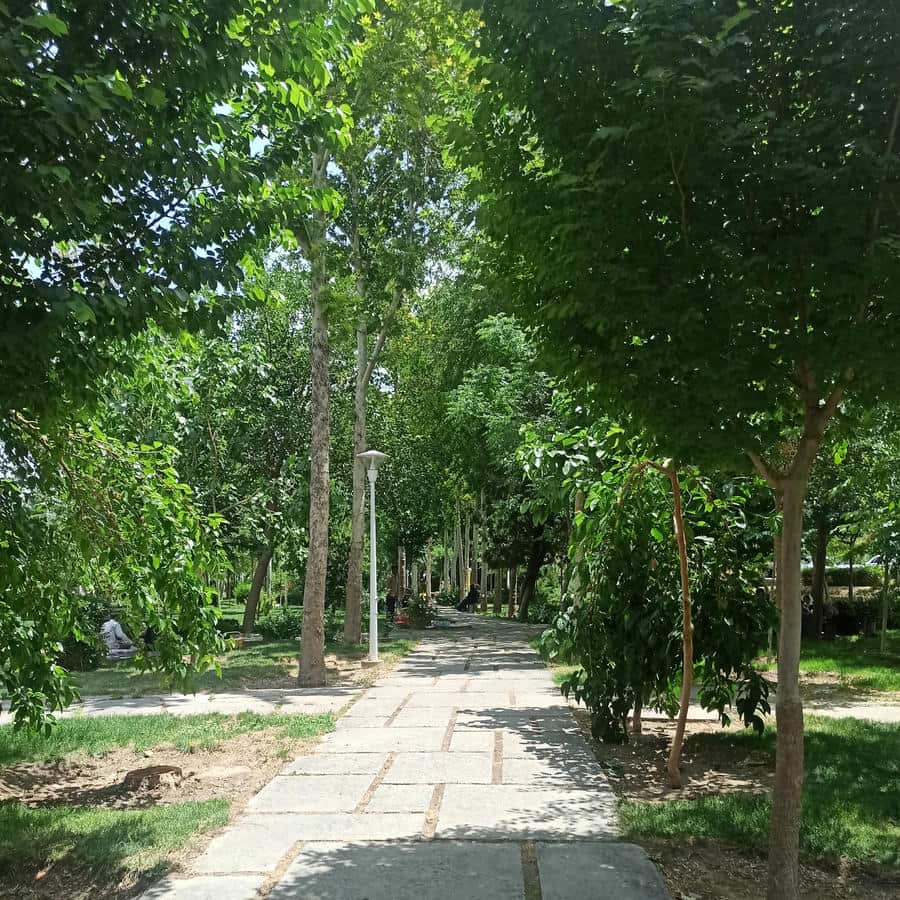 پارک ناژوان
