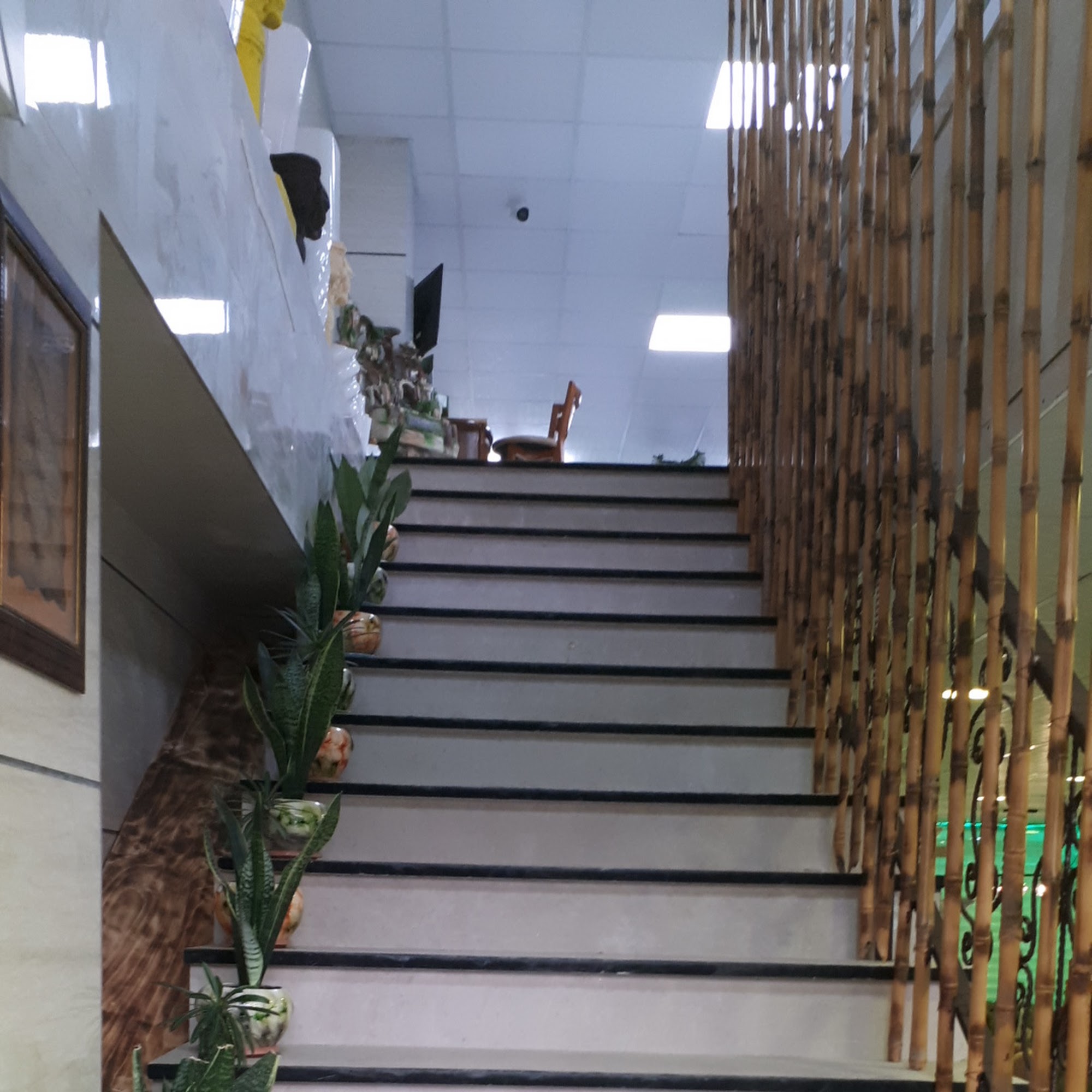 مجموعه فروشگاهی و فنی مهندسی خانه سبز