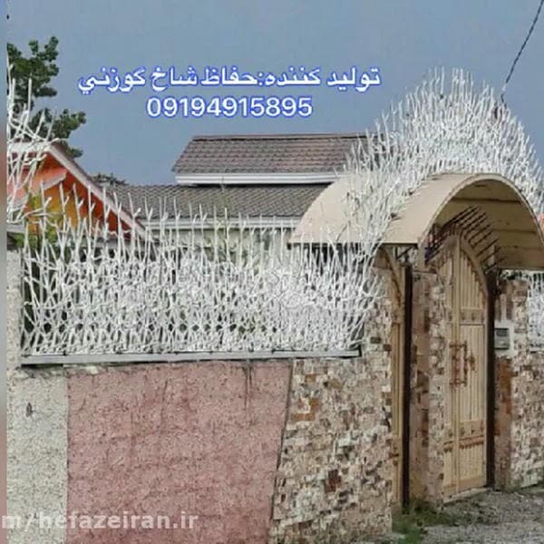 پردیس تهران