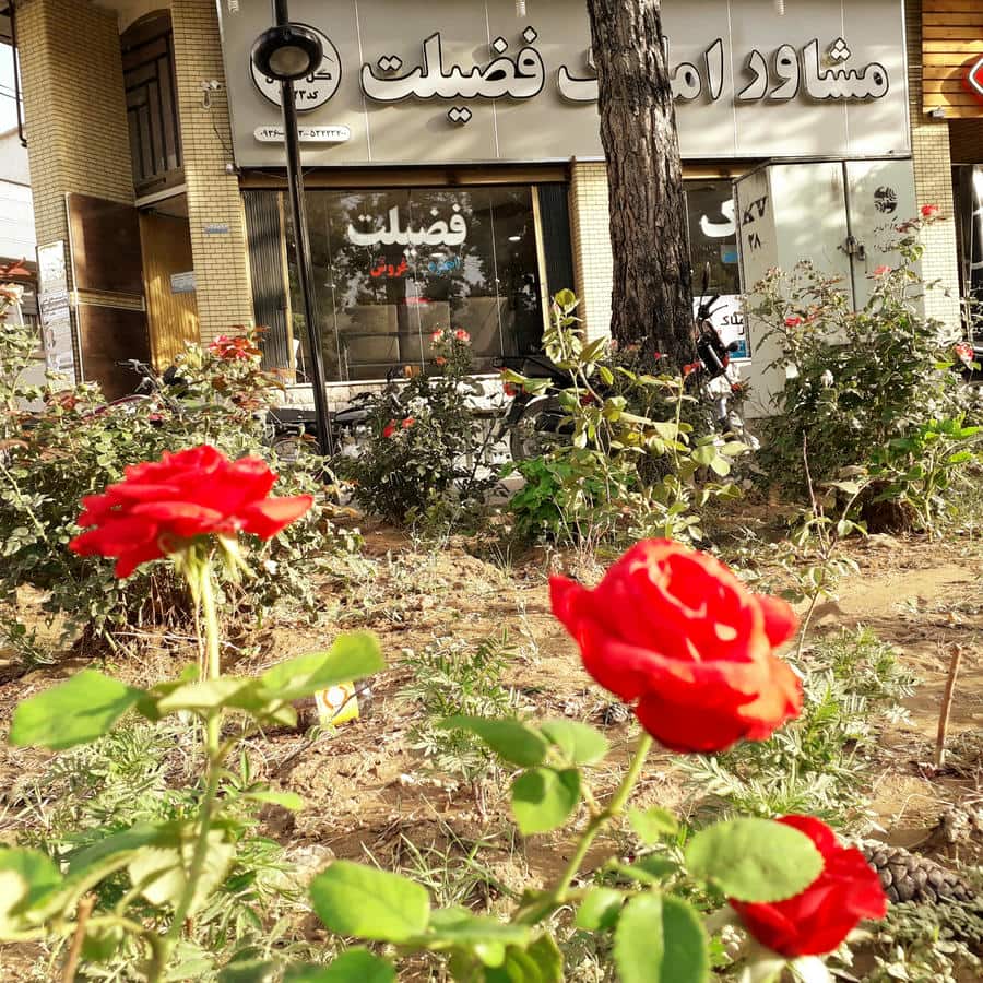 املاک وفا