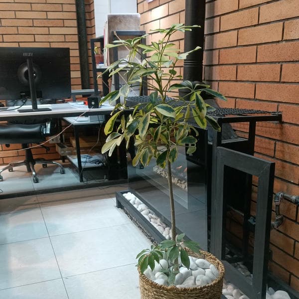 دفتر فنی مهندسی جهانتاب