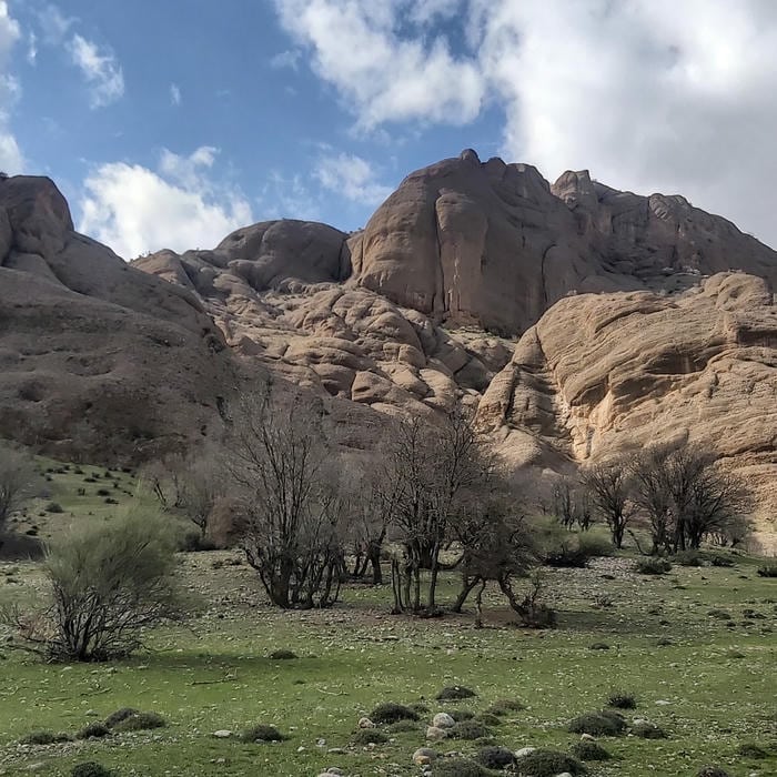 مشاور املاک کارا