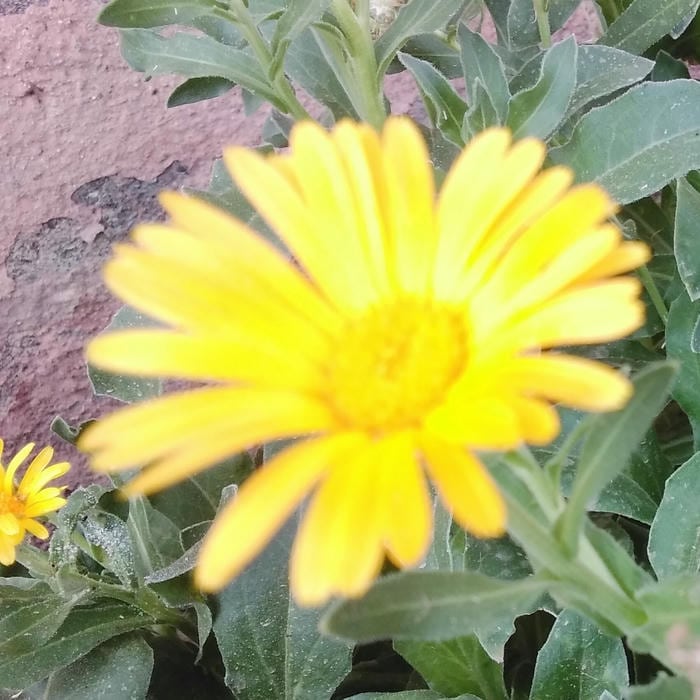 استان البرز