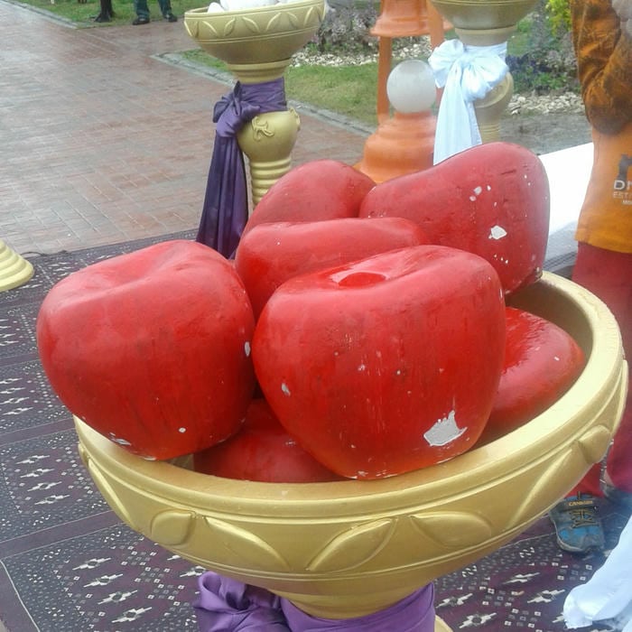 ایزوگام و داربست گلستان کلته