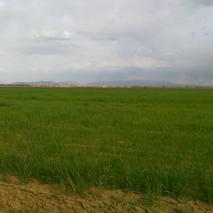 شرکت ساختمانی Amirreza